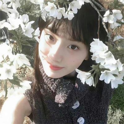 你是我的荣耀